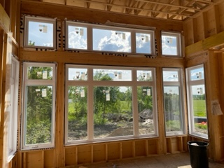 A room with many windows and some trees